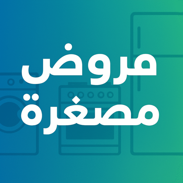 قروض مالية مصغرة